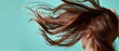 © Hryhor Denys - A close-up view captures a woman's hand holding her long brown hair, emphasizing damaged strands while inviting thoughts on hair care and maintenance in a clean studio setting