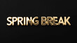 © Erlinda - spring break word gold metallic shiny lettering on plain black background