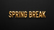 © Erlinda - spring break word gold metallic shiny lettering on plain black background