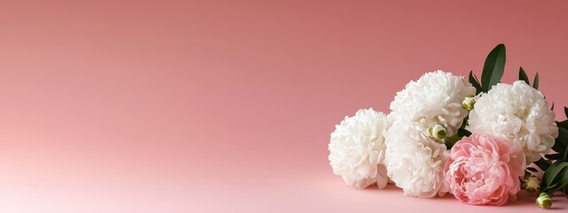  A collection of white and pink blooms atop a pink backdrop, featuring a surface and wall