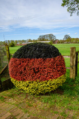 A bush in the shape of a ball and in the colours of the German flag