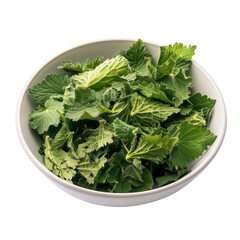 Wall Mural - Chopped nettles filled in bowl on isolated transparent background