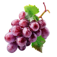 Canvas Print - Isolated fresh bunch of grapes on isolated transparent background