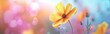 © CryptoCanvas - Yellow Cosmos bipinnatus flowers Garden cosmos or Mexican aster in a selective focus picture set against a blurred colorful nature background presented through a 3D cartoon rendering with ample co