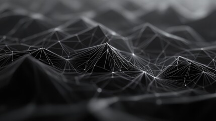 Poster - Detailed polygonal mesh map featuring lines triangles and points in high resolution