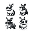 © Nurjen - set illustration of rabbit wearing glasses in black and white vintage style