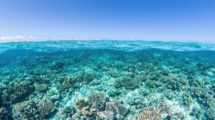 Poster - Underwater Coral Reef Scene with Blue Sky and Clouds