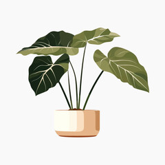 Canvas Print - Illustrated potted plant with large leaves