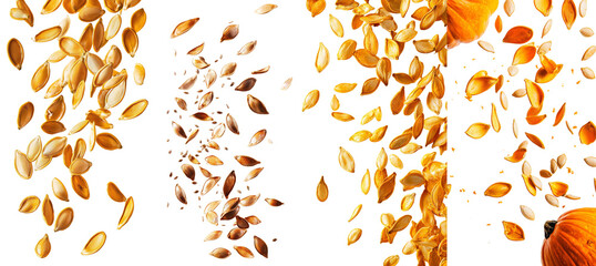 Aufkleber - The seed of a pumpkin falls on a white background, surrounded by depth of field