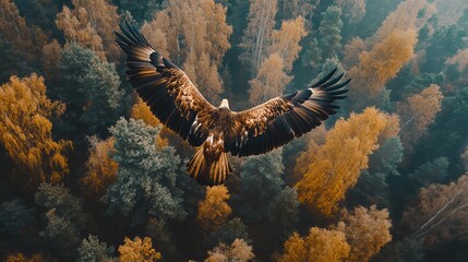 Sticker - A captivating scene of Russia's natural landscape under a blue sky, where an eagle soars majestically above.