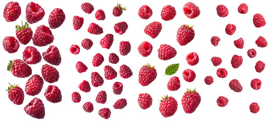 Sticker - Detailed image of a falling raspberry, isolated on a white background