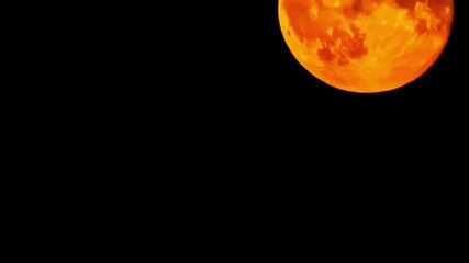 Wall Mural - full moon, harvest moon, blood moon, blue moon rising - zoomed close up time lapse with perfect deta