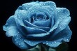 © Sketchx - A close-up of a blue rose with water droplets, showcasing beauty and nature.