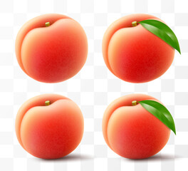 Wall Mural - ripe juicy peach isolated on transparent background. delicious sweet fruit. realistic 3d vector illu
