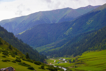 green grass and forest covered mountain slopes at rainy summer day in Grigor'yevskoye Ushchel'ye in Kyrgyzstan