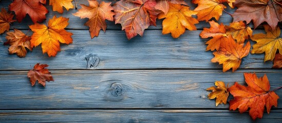 Poster - Vibrant maple leaves on a wooden surface Thanksgiving autumn. with copy space image. Place for adding text or design