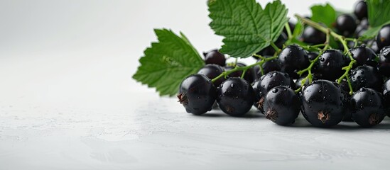 Aufkleber - Black currant A backdrop featuring black currants and leaves on a white surface Space for text. with copy space image. Place for adding text or design