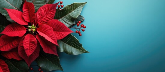 Leinwandbilder - Beautiful Christmas arrangement featuring a poinsettia on a colored background. with copy space image. Place for adding text or design