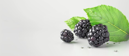 Aufkleber - Mulberry fruit with a green leaf on a white background. with copy space image. Place for adding text or design
