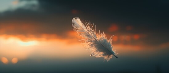 Aufkleber - Dark romantic evening sky Black fluffy clouds gentle pastel hues asymmetrical silhouette and feathers lit by sunlight Selective focus on texture with a blurred background. with copy space image