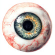© Skip Monday - The eyeball is creepy, watercolor clipart illustration with white isolated background.