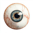 © Skip Monday - The eyeball is creepy, watercolor clipart illustration with white isolated background.