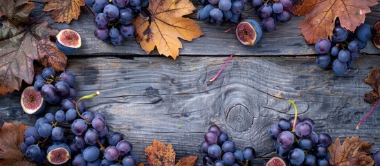 Poster - Frame of purple wild grape leaves grapes plums and figs on a gray wooden background Top view Flat lay Concept of autumn harvesting or Thanksgiving celebration. with copy space image