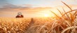 © Boontharika - A tractor working in a golden wheat field during a beautiful sunset, showcasing agricultural machinery and ripe crops ready for harvest.