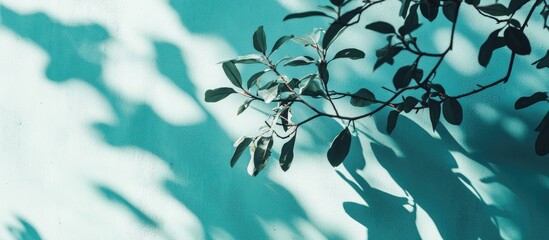 Poster - Abstract diagonal shadows of tree leaves on a mint blue wall texture Concept background featuring trendy colored natural lighting Copy space for text overlay poster mockup flat lay top view