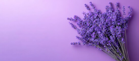 Poster - Bouquet of purple lavender flowers against a purple background top view Copy space Minimal background concept Area for text Image suitable for a business card or menu Dried flower in a vase on a busi