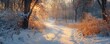 © Nawarit - Snow-covered trails at dusk, with the last light of the day casting a warm glow on the frosty path, creating a serene winter scene, Serene, Warm Tones, Wide Angle
