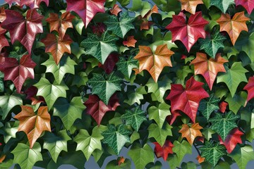 Wall Mural - Vivid 3D Visualization of Detailed Hedera Helix Ivy on Vibrant Green Background