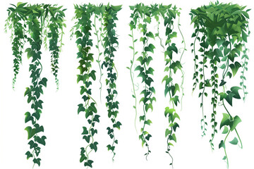 Wall Mural - Jungle vine branches. Cartoon hanging liana plants. Jungle climbing green plant vector collection. Illustration of liana branch plant, leaf flora hang


