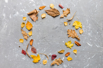 Wall Mural - autumn composition made of dried leaves, cones and acorns on table. flat lay, top view, copy space