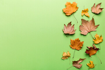 Wall Mural - autumn composition. pattern made of dried leaves and other design accessories on table. flat lay, to