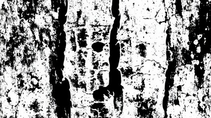 Poster - Intricate patterns emerge from the bark of the tree, showcasing a striking contrast of black and white with cracks resembling facial features, illuminated by daylight
