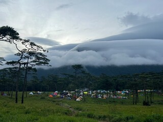 Campground and many tents in pine tree forest with landscape of mountain and fog at Phu Soi Dao National Park, Uttaradit, Thailand.