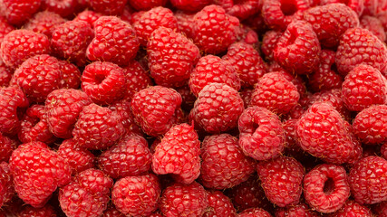 Wall Mural - Tasty fresh raspberry as a background.