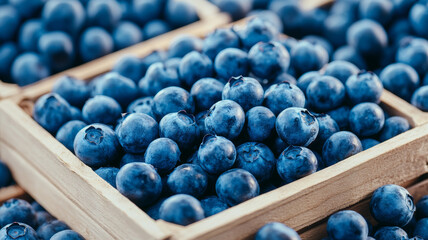 Wall Mural - Fresh blueberries in a small wooden crate market stall background bright and natural tones 