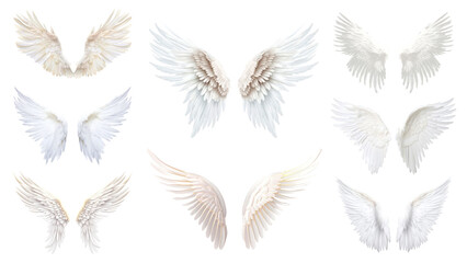 Canvas Print - PNG Angel wings element set, transparent background