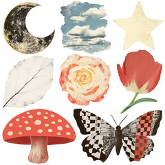 Wall Mural - png nature collage element set, transparent background
