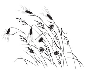 Wall Mural - ripe wheat ears and cornflowers silhouette
