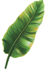 Poster - A vibrant green leaf showcasing detailed veins and a smooth texture, perfect for nature-themed designs or backgrounds.