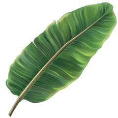 Poster - A vibrant green leaf showcasing intricate textures and rich hues, perfect for nature-themed designs and backgrounds.