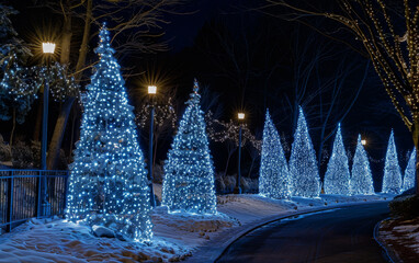 Canvas Print - Dark blue Christmas festive winter background with white glowing Christmas trees and lights, snow on the ground, nighttime scene