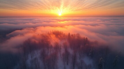 Wall Mural - aerial view of sunrise over winter forest covered with low clouds