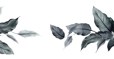 Sticker - PNG Ink tropical leaves backgrounds sketch plant.