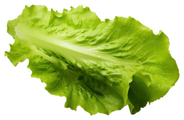 Poster - PNG Vegetable lettuce plant food.