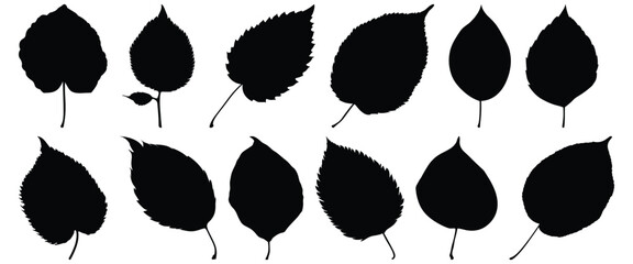 Wall Mural - Leaf silhouette set vector design big pack of foliage illustration and icon