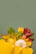© Alina - Autumn сomposition for autumn shopping concept with copy space.
